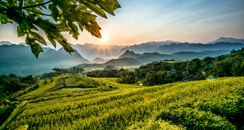 Du lịch Mai Châu 2024 Du lịch Mai Châu 2024